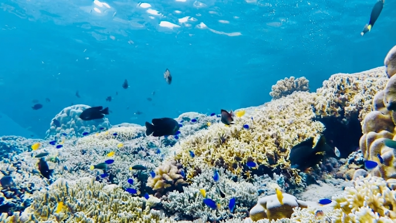 Pescador Island